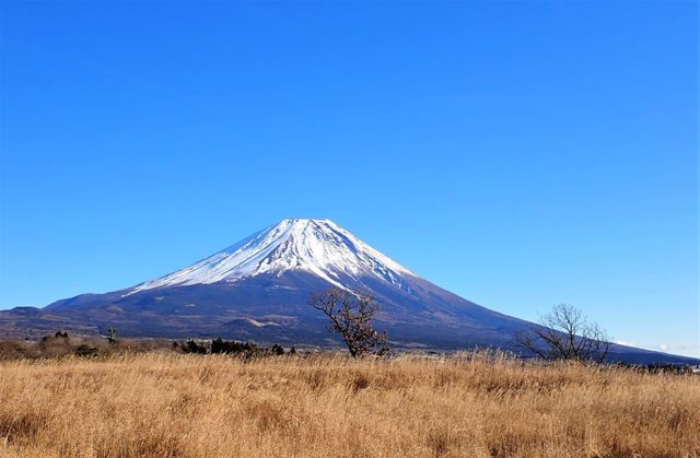 富士山　朝霧高原１.JPG
