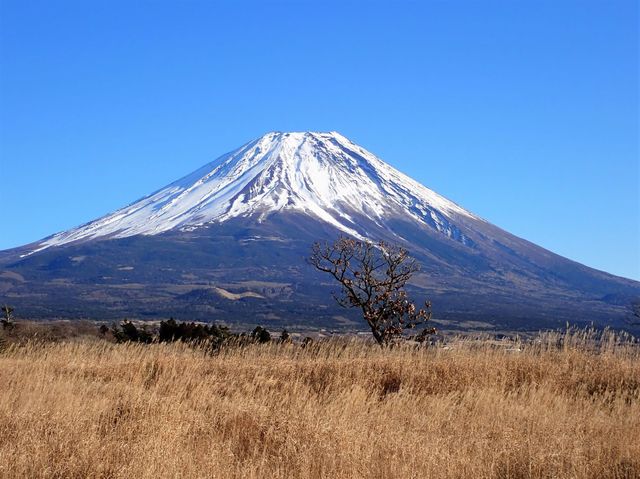 富士山　朝霧高原２.JPG