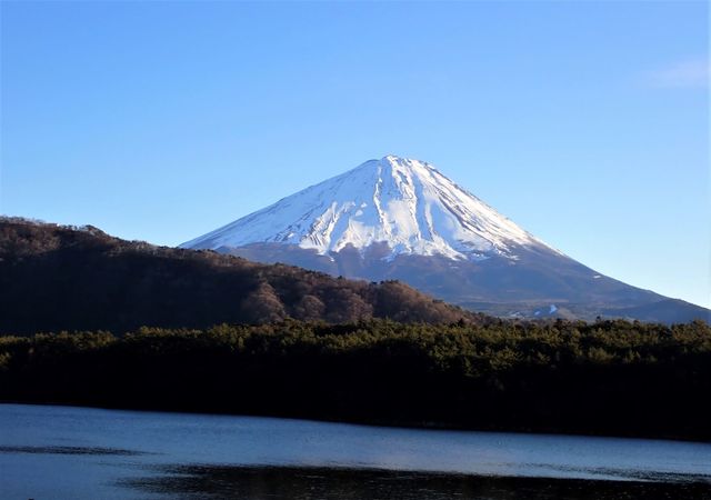 富士山　西湖１.JPG