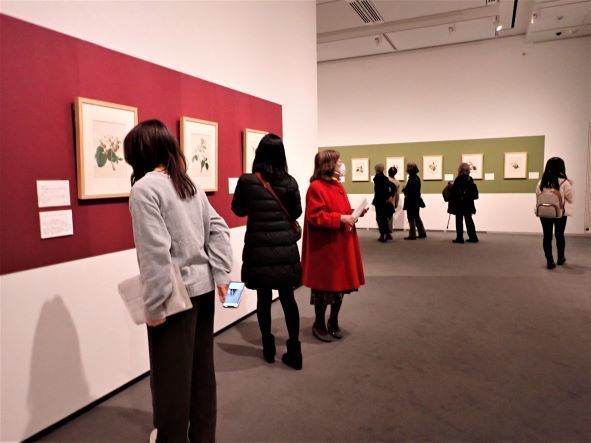 展示風景1.JPG