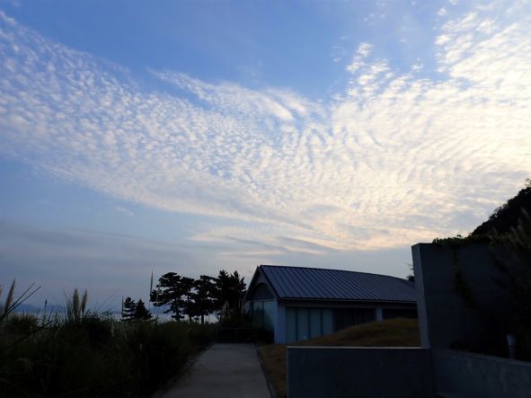 杉本博10.JPG